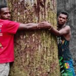 PUSAKA : “Selamatkan Masyarakat Adat dan Hutan Papua”