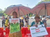 Mahkamah Agung Tolak Kasasi Suku Awyu, Perjuangan Selamatkan Hutan Papua Kian Berat