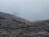 SIUS IBA SOROTI KEBAKARAN HUTAN KALI MEYAH, SATU KILOMETER KAWASAN HUTAN DI PEGUNUNGAN ARFAK HANGUS TERBAKAR PEGUNUNGAN ARFAK, PAPUA BARAT — Kebakaran hutan yang melanda kawasan Kali Meyah, Kampung Iba, Distrik Testega, Kabupaten Pegunungan Arfak, Papua Barat, menimbulkan kekhawatiran masyarakat adat setempat. Kebakaran dilaporkan telah meluas hingga sekitar satu kilometer, sementara api hingga kini masih belum berhasil dipadamkan. Mantan Ketua Bidang Organisasi, Kaderisasi, dan Keanggotaan (OKK) GMNI Cabang Manokwari, Sius Iba, menyoroti kondisi kebakaran tersebut dan berharap pemerintah segera mengambil langkah konkret untuk menangani kebakaran yang mengancam kelestarian hutan di wilayah Pegunungan Arfak. Kebakaran yang dilaporkan berlangsung selama lebih dari dua minggu pada awal Oktober ini telah menghanguskan kawasan hutan dan menyebabkan sejumlah pepohonan terbakar hingga menjadi arang. Kondisi tersebut menimbulkan keprihatinan, terutama bagi masyarakat adat yang kehidupannya memiliki keterkaitan erat dengan alam dan kelestarian hutan di wilayah mereka.