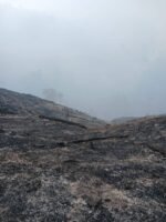 SIUS IBA SOROTI KEBAKARAN HUTAN KALI MEYAH, SATU KILOMETER KAWASAN HUTAN DI PEGUNUNGAN ARFAK HANGUS TERBAKAR PEGUNUNGAN ARFAK, PAPUA BARAT — Kebakaran hutan yang melanda kawasan Kali Meyah, Kampung Iba, Distrik Testega, Kabupaten Pegunungan Arfak, Papua Barat, menimbulkan kekhawatiran masyarakat adat setempat. Kebakaran dilaporkan telah meluas hingga sekitar satu kilometer, sementara api hingga kini masih belum berhasil dipadamkan. Mantan Ketua Bidang Organisasi, Kaderisasi, dan Keanggotaan (OKK) GMNI Cabang Manokwari, Sius Iba, menyoroti kondisi kebakaran tersebut dan berharap pemerintah segera mengambil langkah konkret untuk menangani kebakaran yang mengancam kelestarian hutan di wilayah Pegunungan Arfak. Kebakaran yang dilaporkan berlangsung selama lebih dari dua minggu pada awal Oktober ini telah menghanguskan kawasan hutan dan menyebabkan sejumlah pepohonan terbakar hingga menjadi arang. Kondisi tersebut menimbulkan keprihatinan, terutama bagi masyarakat adat yang kehidupannya memiliki keterkaitan erat dengan alam dan kelestarian hutan di wilayah mereka.